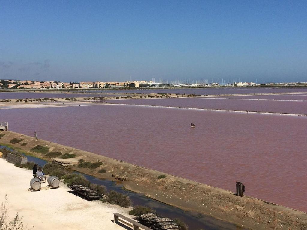 Gruissan Appartement Calme, Vue Sur Port De Plaisance -Clim, Empl.Parking Luaran gambar