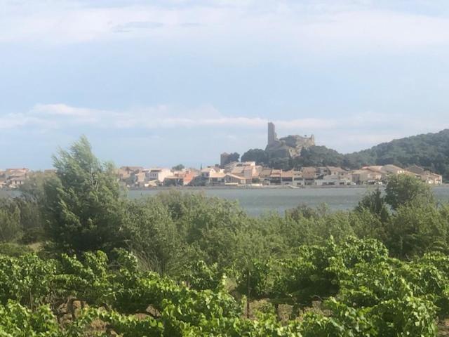 Gruissan Appartement Calme, Vue Sur Port De Plaisance -Clim, Empl.Parking Luaran gambar